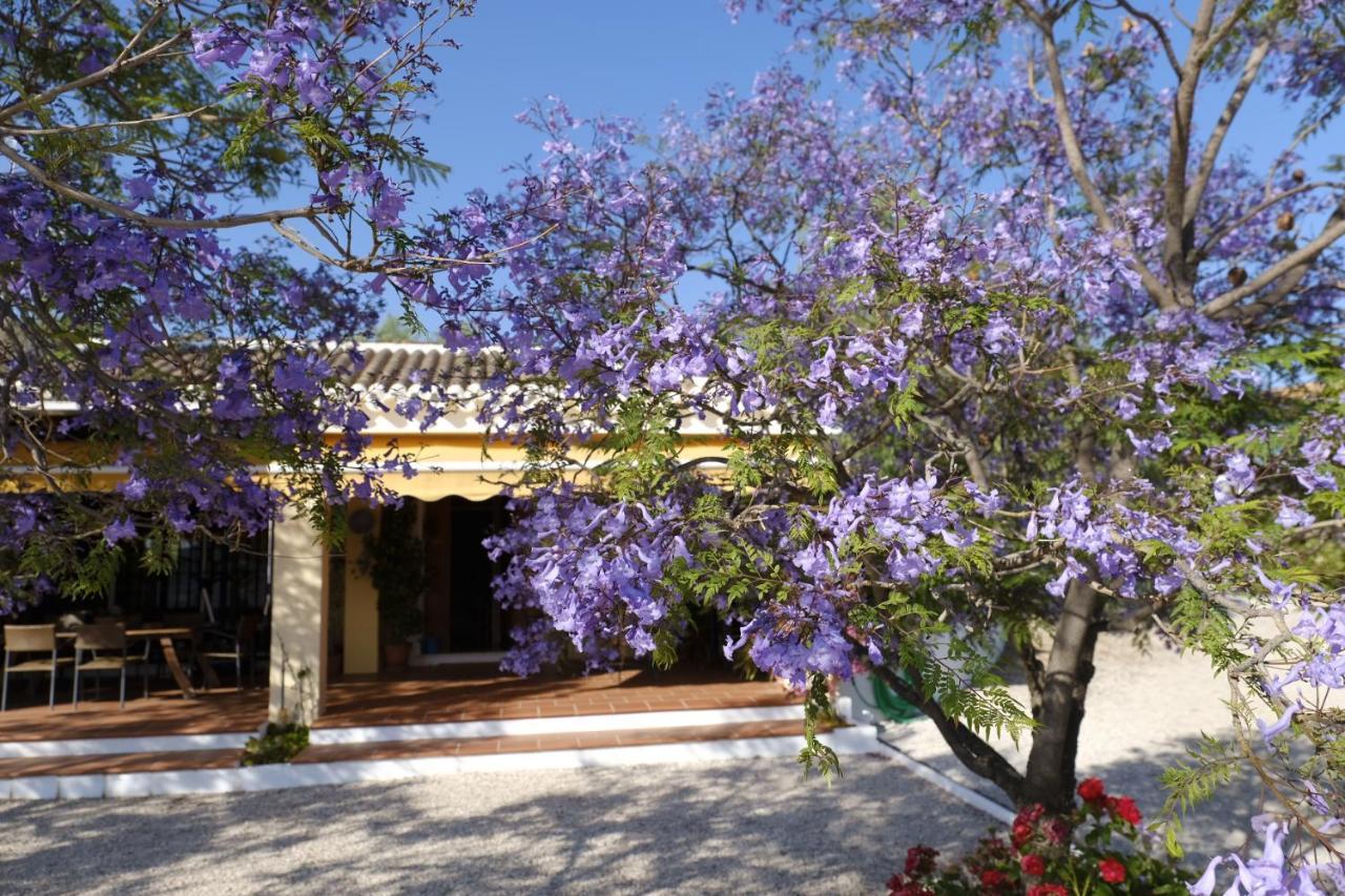 Finca Gordo Ríogordo Exterior photo